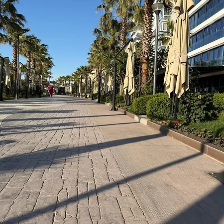 Lina Golem (Tirana)
